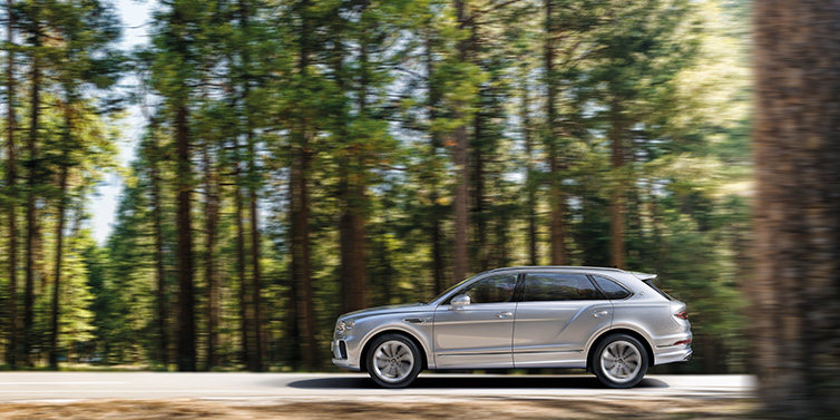 Bentley Leicester Bentley Bentayga Extended Wheelbase SUV in Moonbeam paint driving dynamically on a forest road